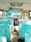 Klasik Coaster Minibüs Özel Okul Otobüs Promosyonu Streamline Tasarım Tedarikçi